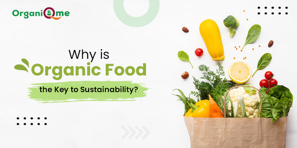 Why is Organic Food the Key to Sustainability?
